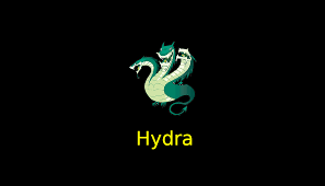 كل ما تريد معرفته عن Brute Force | Hydra
